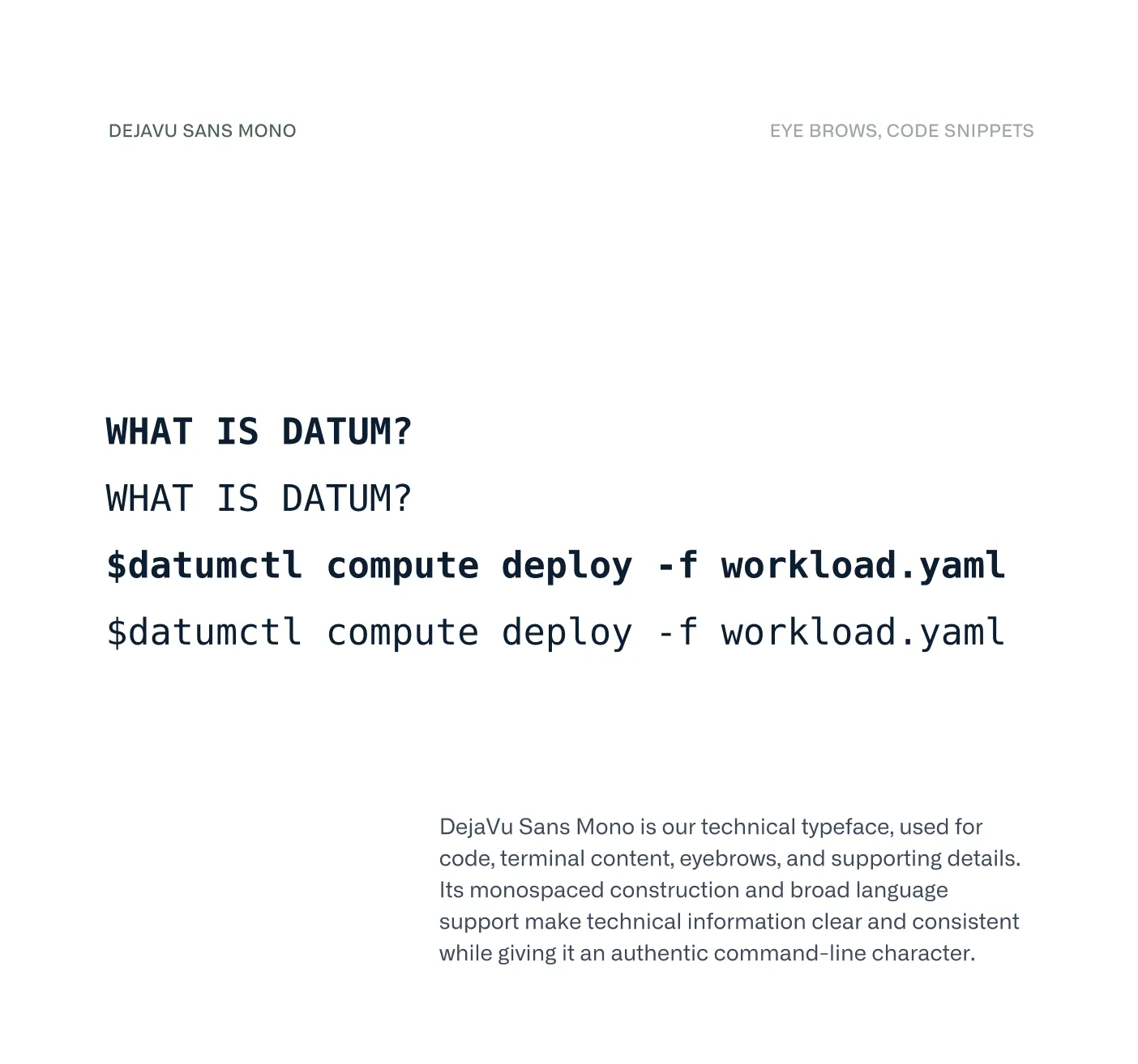 DejaVu Sans Mono
